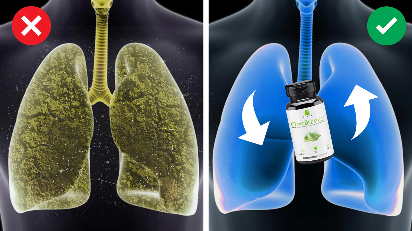 Ce "nettoyant pulmonaire" permet de retrouver une respiration fluide et des voies respiratoires saines - en seulement 3 jours !